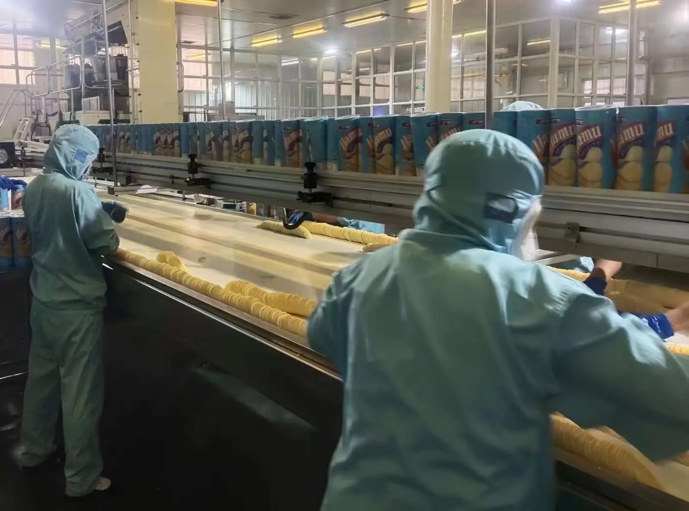 Potato Chips Manufacturing