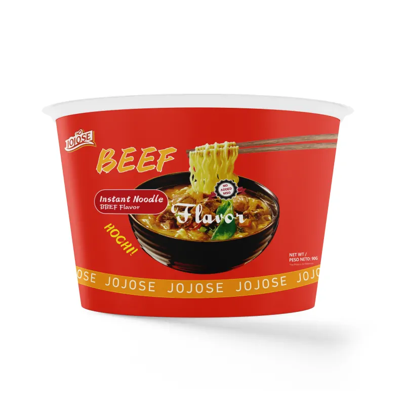 Standard Soup Bowl Noodles Beef 1