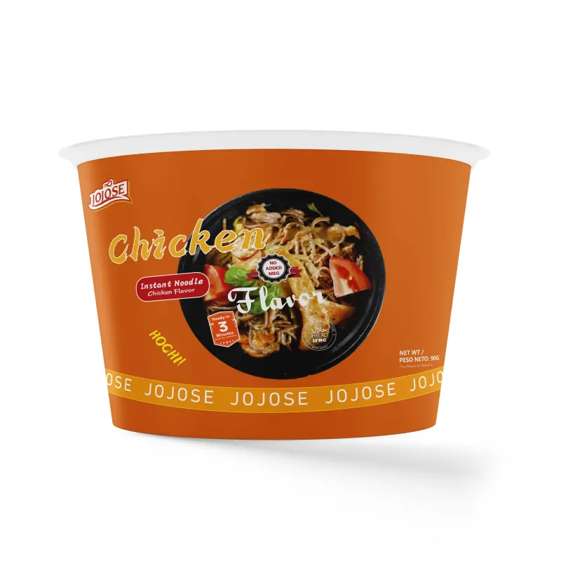 Standard Soup Bowl Noodles Chicken 2