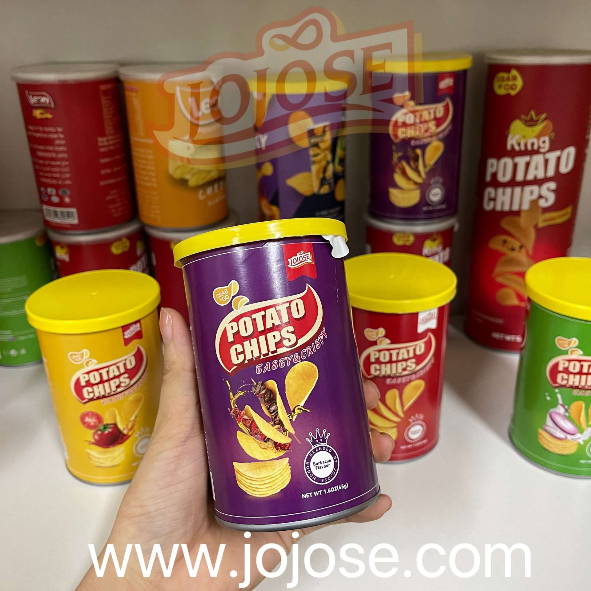 Potato Chips Factory